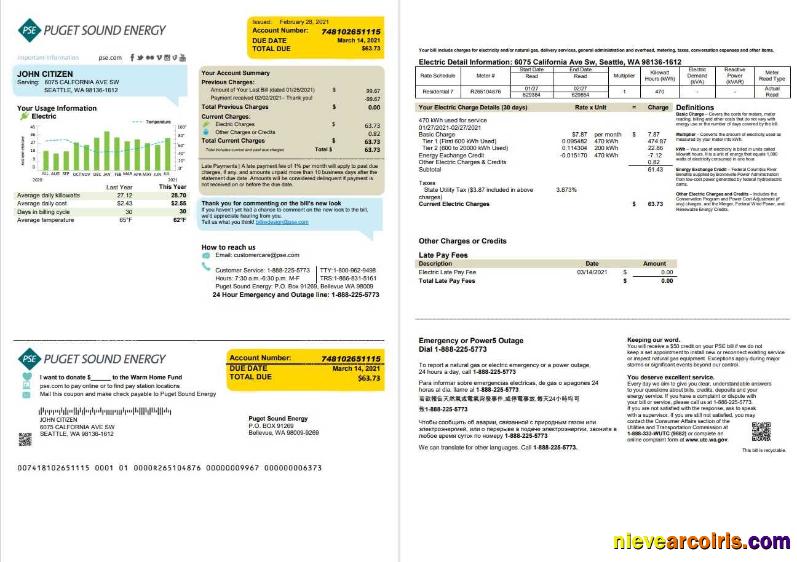 USA Washington Puget Sound Energy utility bill 2 pages, version 2